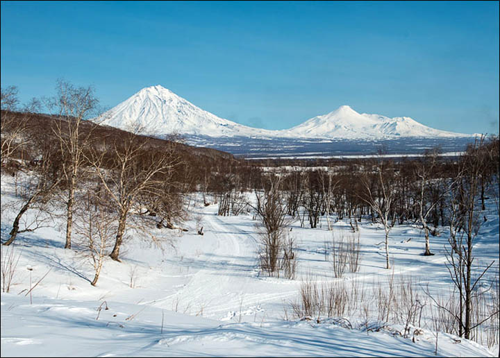 Beringia dog sled race 2013