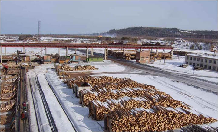 For The Russian Timber Industry 10