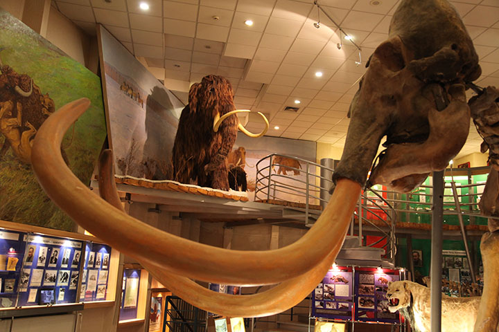 Mammoth museum Yakutsk