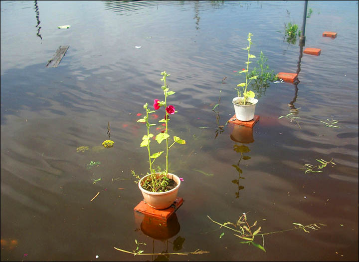 Vladimirovka village flooding 2013