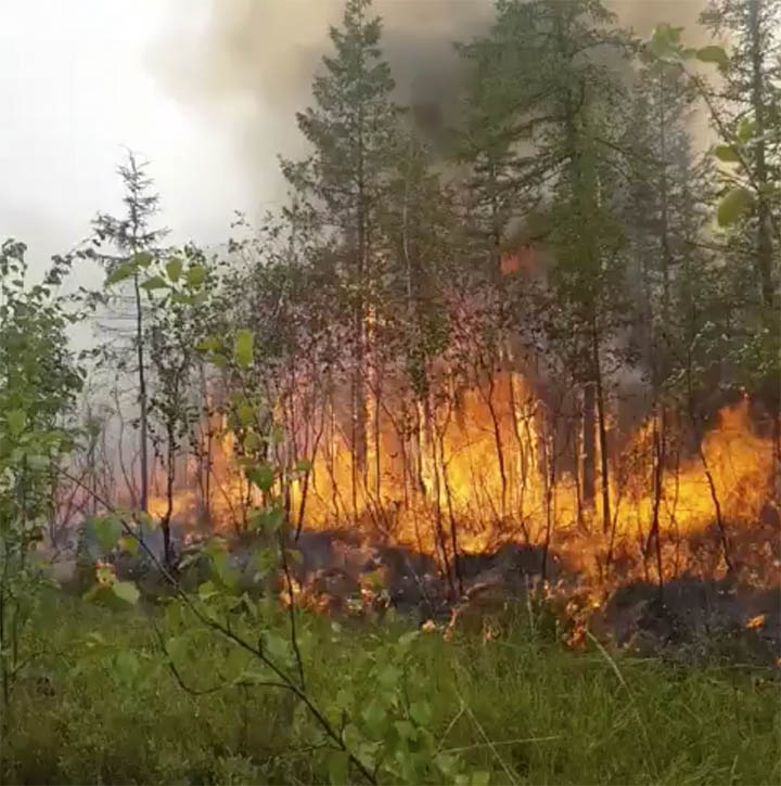 Wildfires in Yakutia