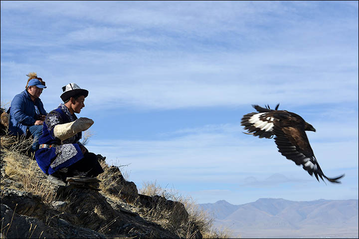 A dying form of hunting with eagles dating back to prehistoric times could be resurrected in Siberia, despite opposition from conservationists