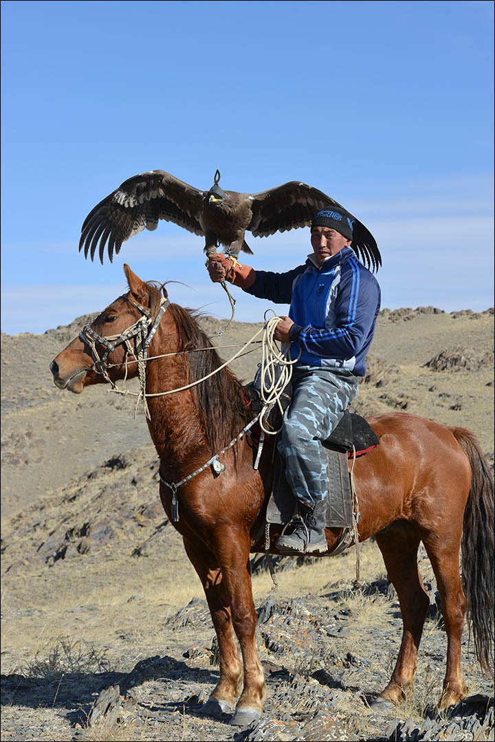 A dying form of hunting with eagles dating back to prehistoric times could be resurrected in Siberia, despite opposition from conservationists