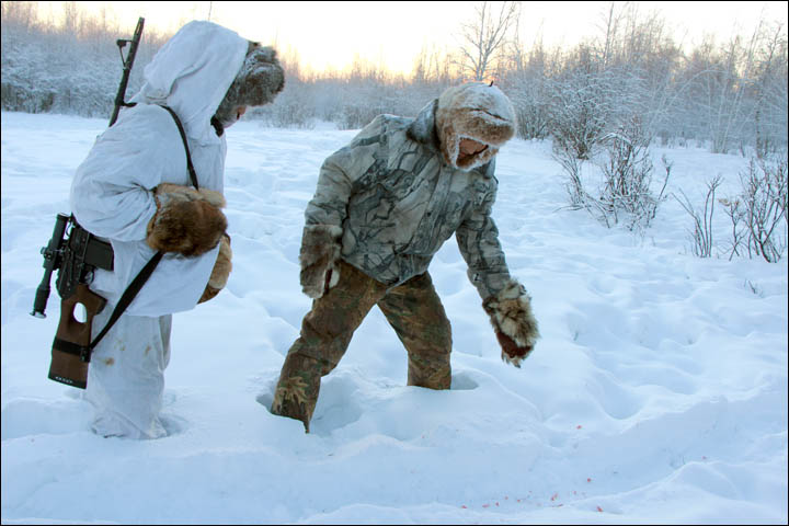 Wolves preying on reindeer herds threaten seasonal joy in remote Siberian villages  