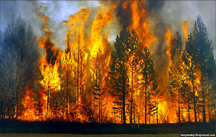 wildfires 2013 Siberia