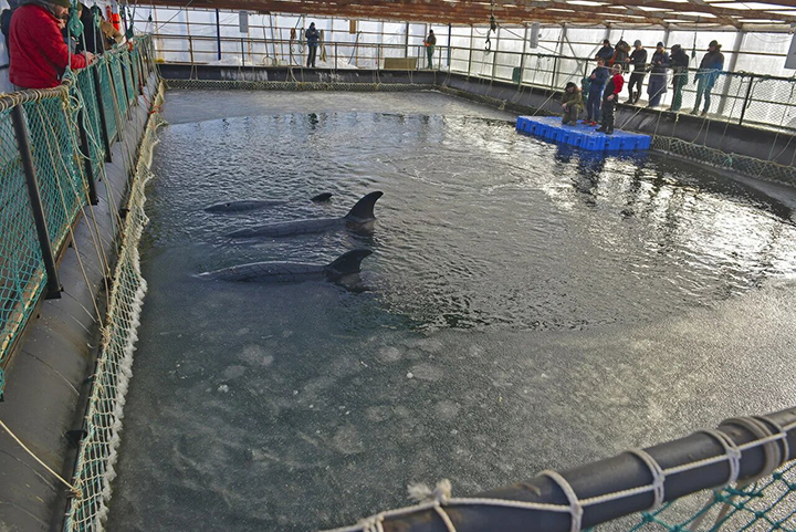 Whale jail in Nakhodka