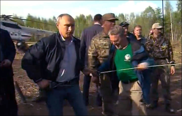 Putin releases tigers