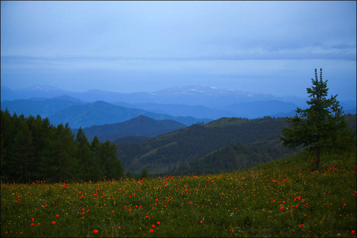 Mariinsky Pass Republic of Altai