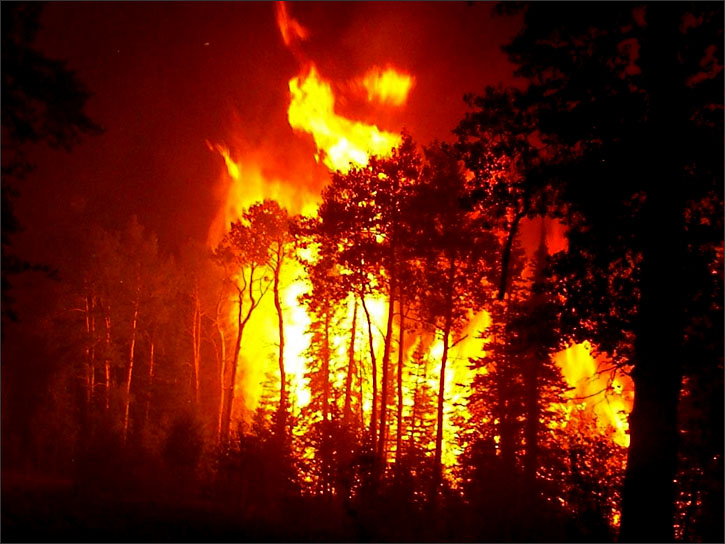 wildfire in Siberia