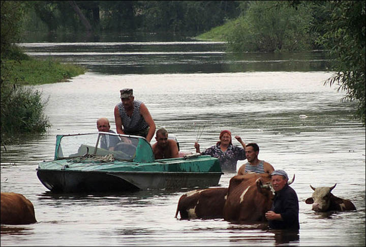 flooding Amur region August 2013