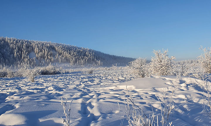 World’s coldest marathon at blistering minus 53C is complete in Yakutia