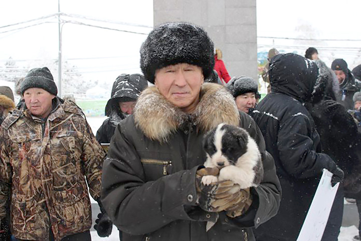 Hunters around Russia rally against proposed  ban on bear baiting