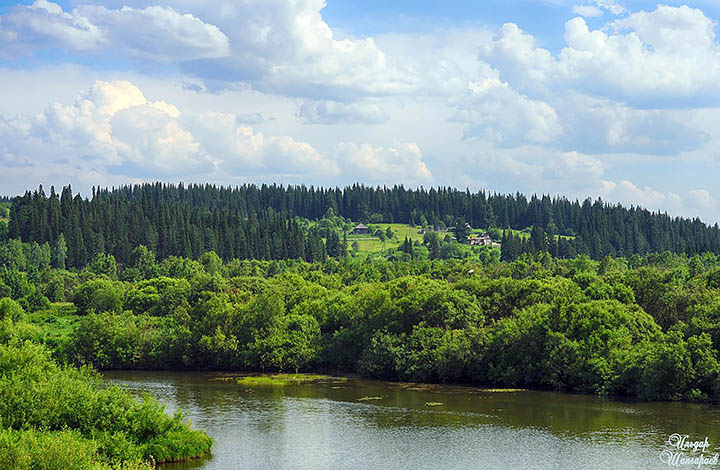 Taiga in Berezovsky suburbs
