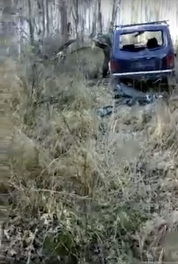 A brown bear finds and rips hunters car