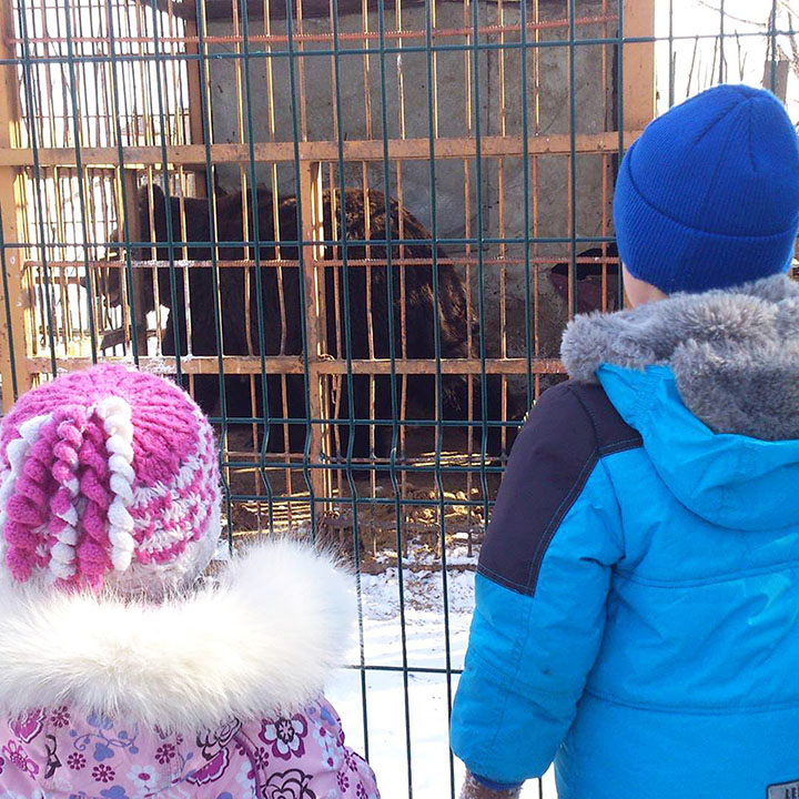 Children watch the bear