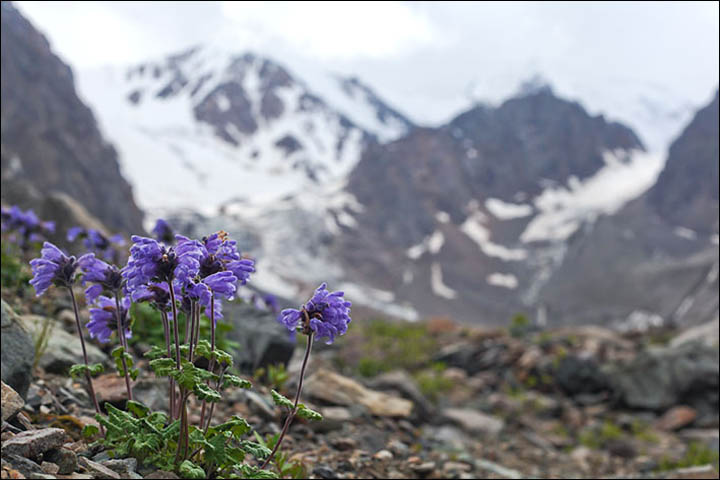 stunning Altai mountains Siberia