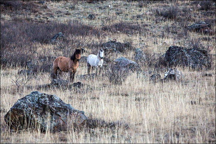 stunning Altai mountains Siberia