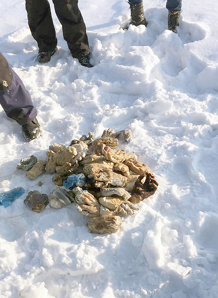 Macabre bag containing 27 pairs of human hands found in bag on Amur River island