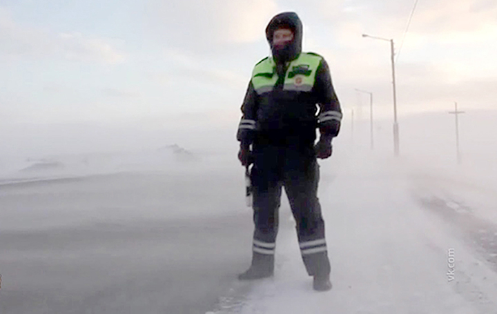 Happy ending for Toshka the flying Yorkshire terrier blown away by a gust of Arctic wind 