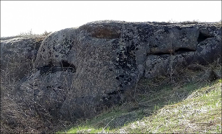 Found: dragon and griffin megaliths 'dating back 12,000 years to end of Ice Age, or earlier'