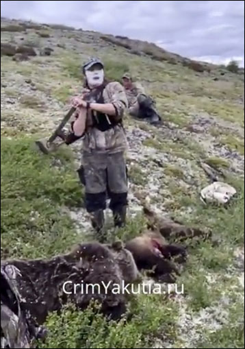 Hunters killed bear family