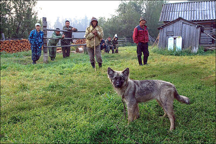 Girl lost for 12 days in Siberian wilderness looks forward to Xmas with dog that saved her