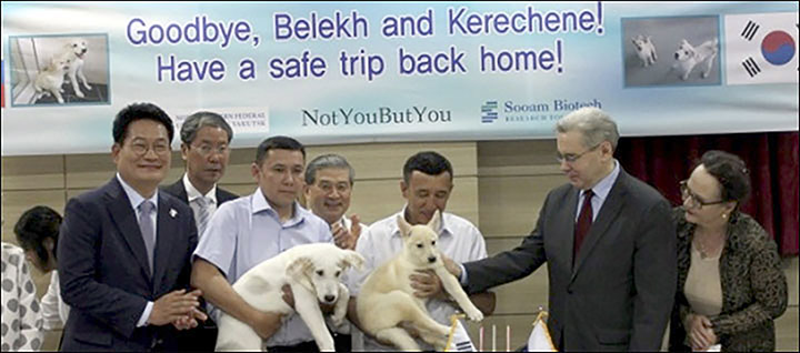 Kerechene and Belekh passed to Yakutia