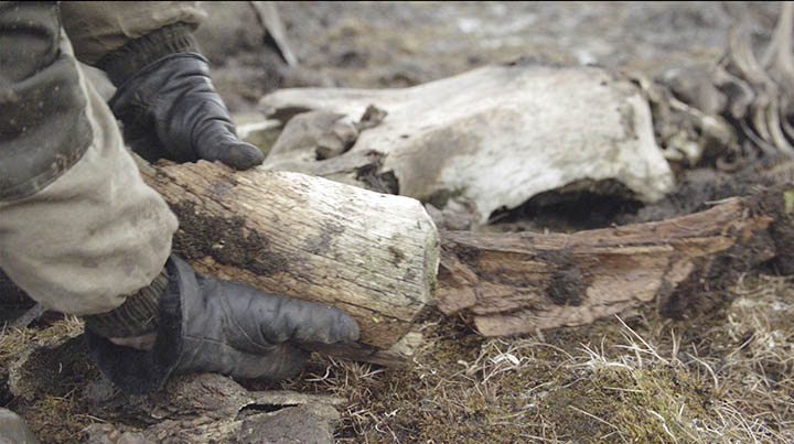 World’s northernmost Palaeolithic settlement found on Kotelny island in the Arctic