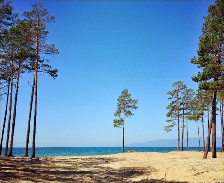 Concern over world's oldest and deepest lake as nasty odour and green algae discourages sunbathers in Buryatia.