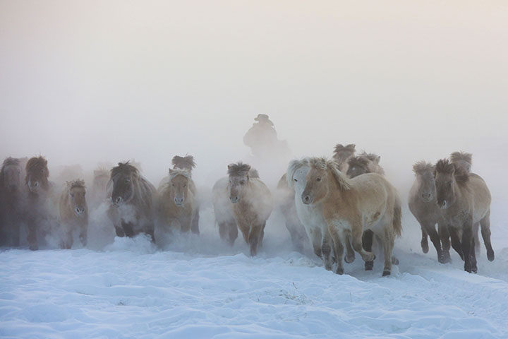 Magadan to London on horseback, an epic 14,000km journey crossing Eurasia 