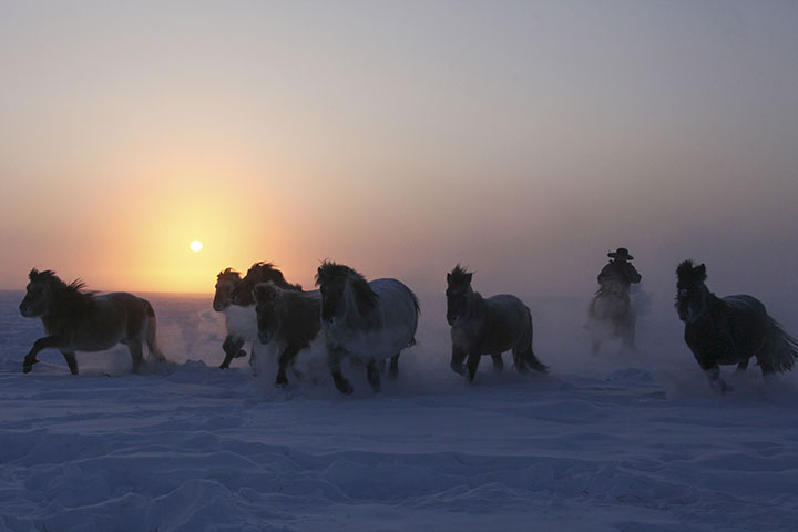 Magadan to London on horseback, an epic 14,000km journey crossing Eurasia 