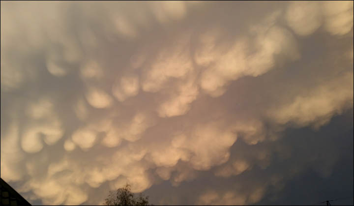 Mammatus clouds in Novosibirsk