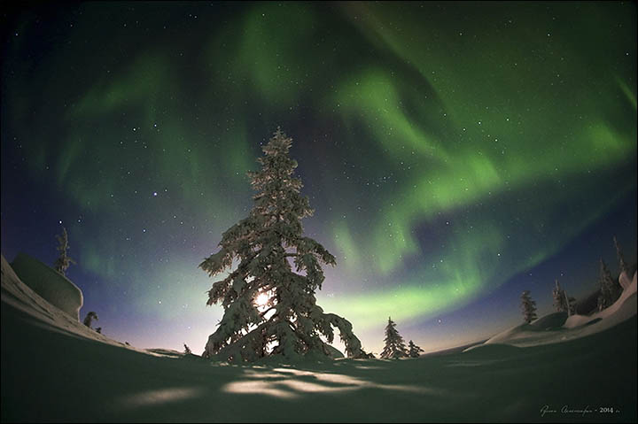 Are these the greatest images of the Northern Lights ever taken?