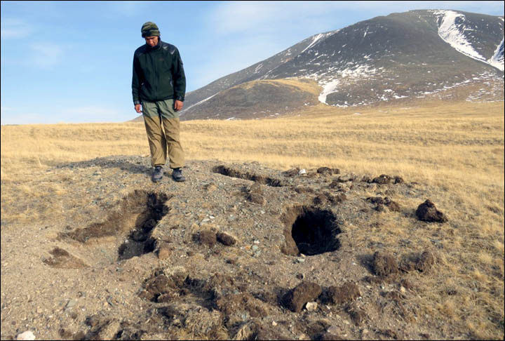 Traces found of bear thought to have died out decades ago