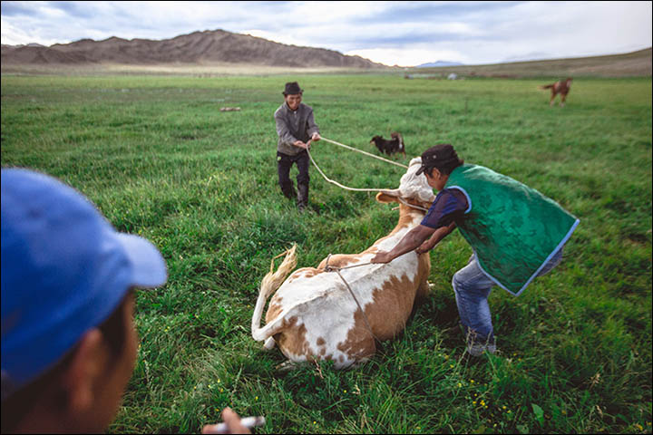 Stunning pictures as shamans from around the world gather in Sayan Mountains