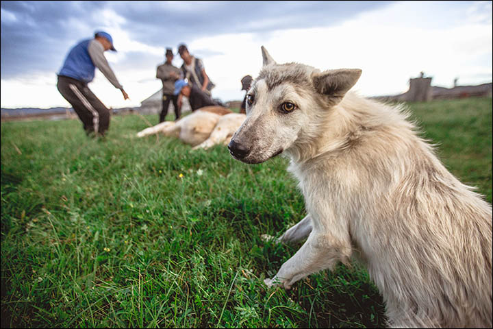 Stunning pictures as shamans from around the world gather in Sayan Mountains