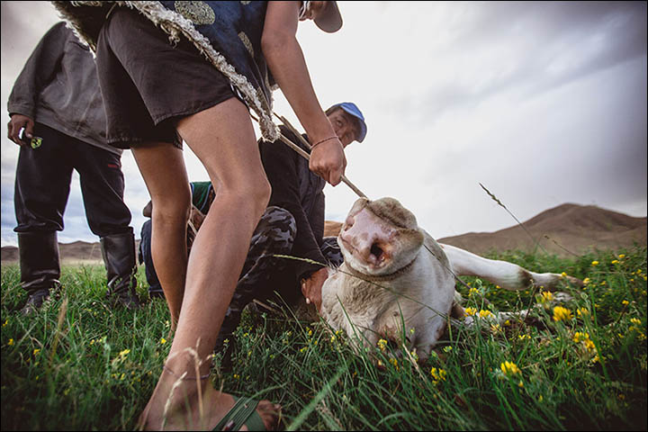 Stunning pictures as shamans from around the world gather in Sayan Mountains