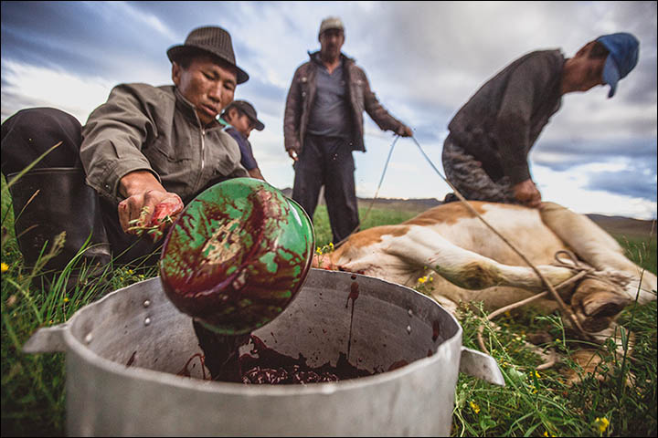 Stunning pictures as shamans from around the world gather in Sayan Mountains