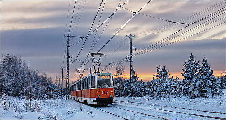 Siberian tram goes through taiga