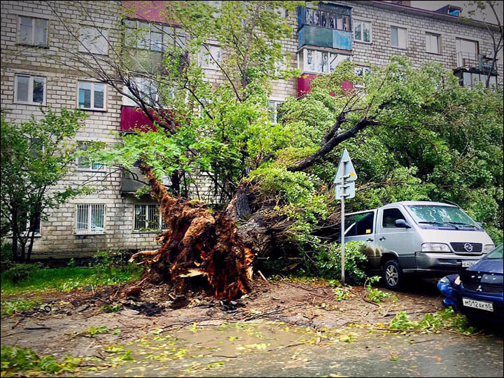 Storm hits Sakhalin