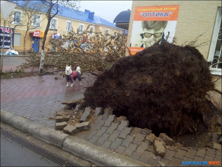 Storm hits Sakhalin