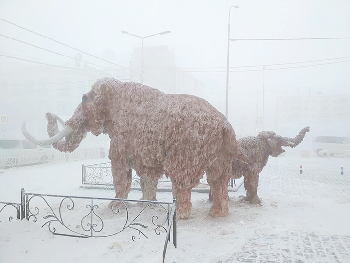 ‘We’re back’ - woolly mammoths reappear in Siberia