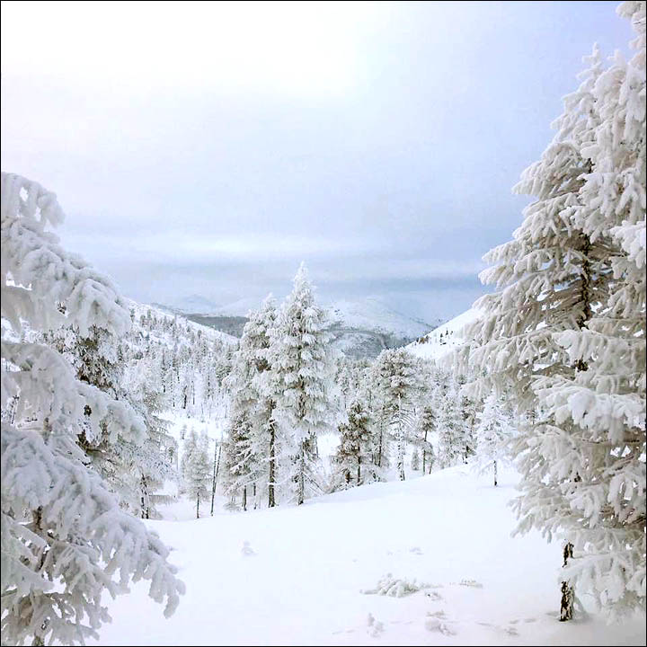 Cold