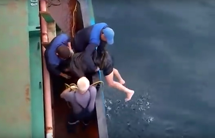 Miracle rescue of a North Korean man who floated in the sea on two pieces of foam plastic 