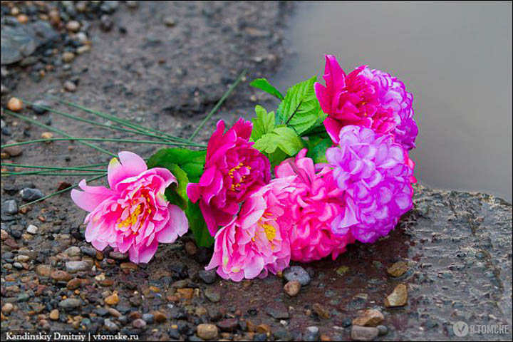 potholes and flowers Tomsk