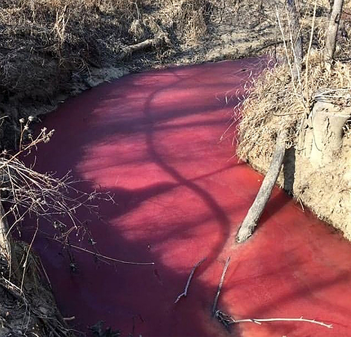 Blood in the river