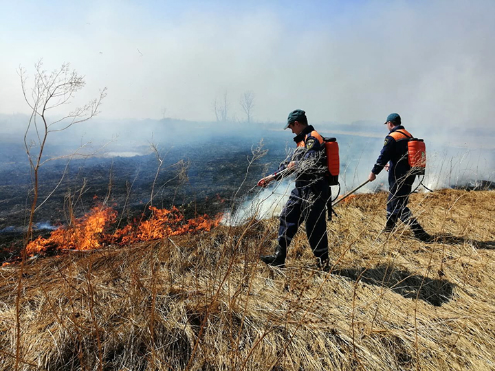 Wildfires add to coronavirus misery across nine Siberian regions and republics