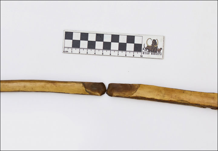 Spear of mammoth bone