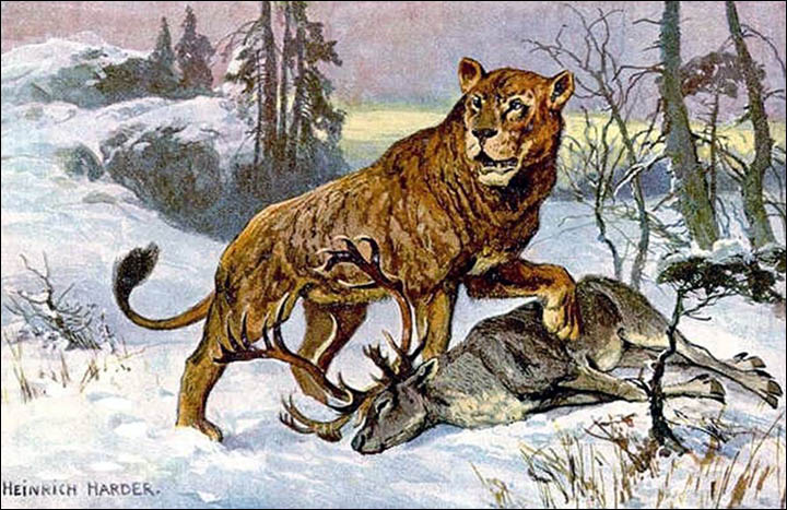 Proof that lions roamed northern Siberia in the age of the mammoths and woolly rhinoceros. 