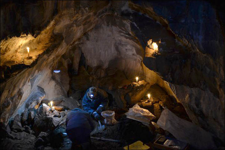 World's greatest ever haul of supersize cave lion bones found in Urals